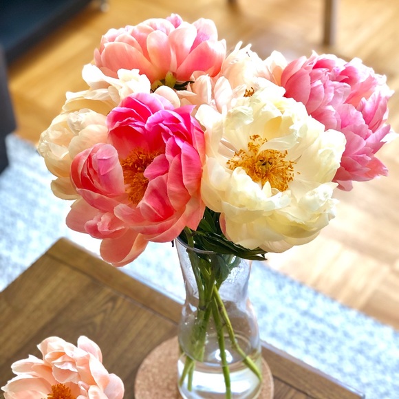 Meet your Posher, Julie - Picture 1 of 1